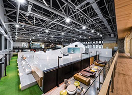 寫字樓裝修設計適合擺放哪些植物？